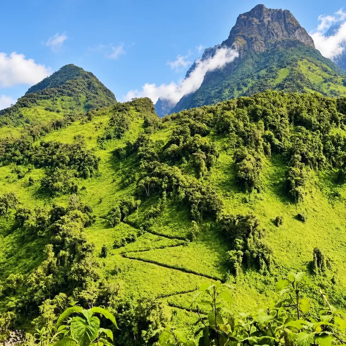 Muhavura peak and the green Virunga hills along the Rwanda-Uganda border